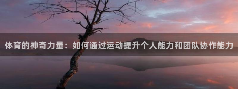 一竞技官方平台体育:体育的神奇力量:如何通过运动提升个人能力