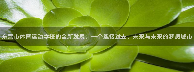 德国一竞技官方正版app集团:东营市体育运动学校的全新发展: