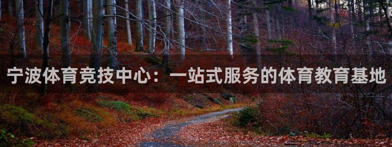 一竞技官方正版app集团:宁波体育竞技中心:一站式服务的体育